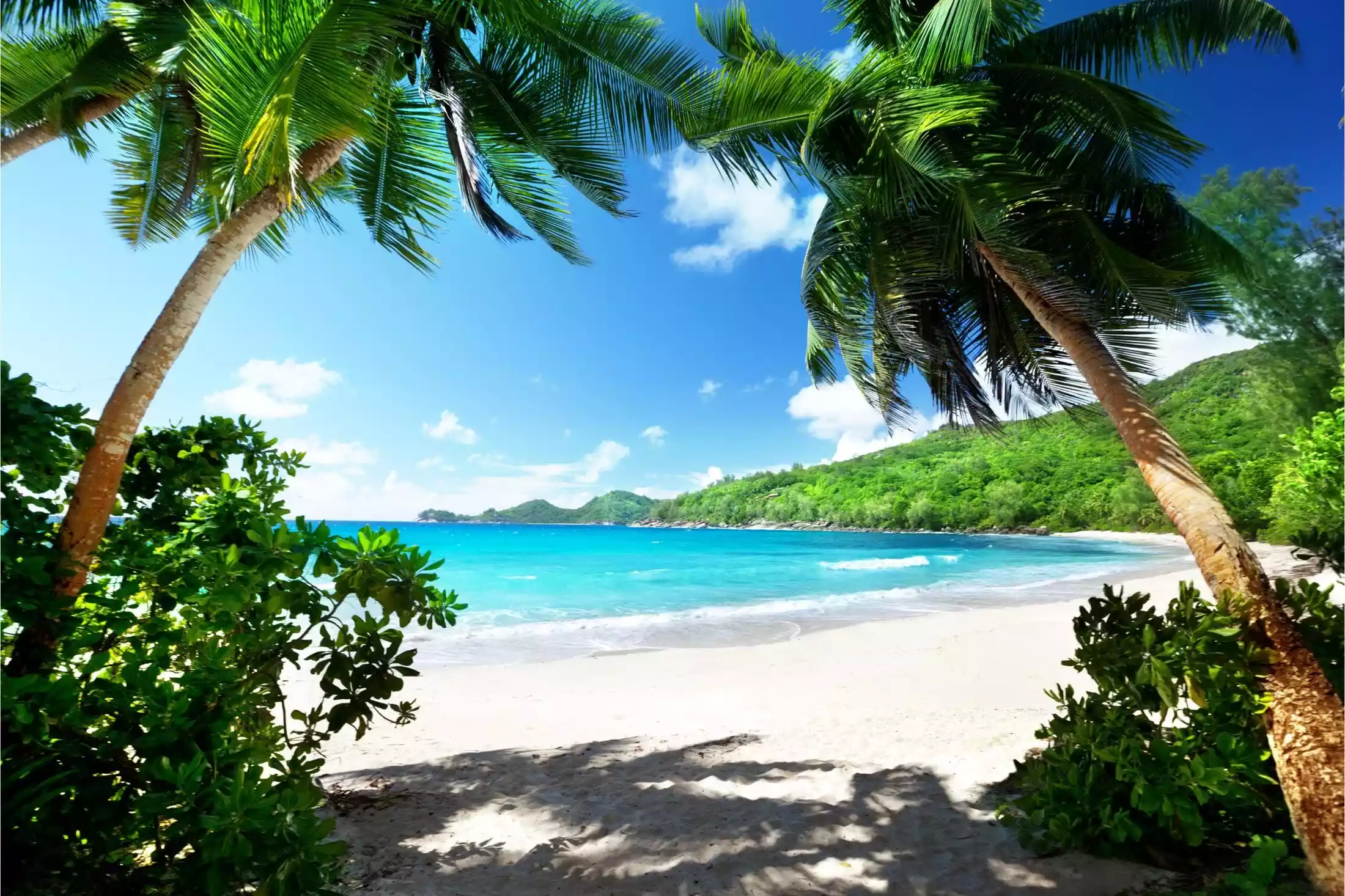 Tropical beach on Mahe Island in Seychelles.