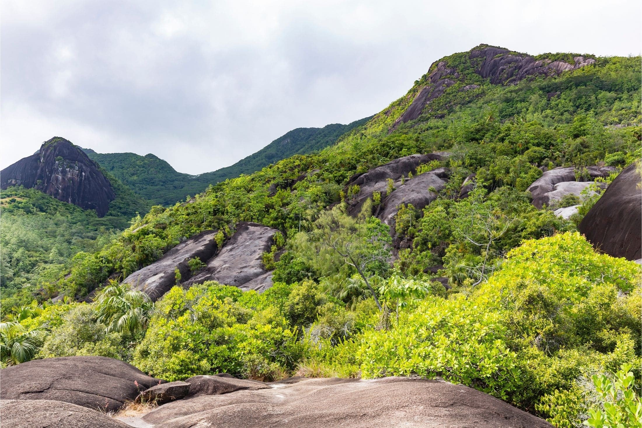 Mount Copolia in Seychelles.