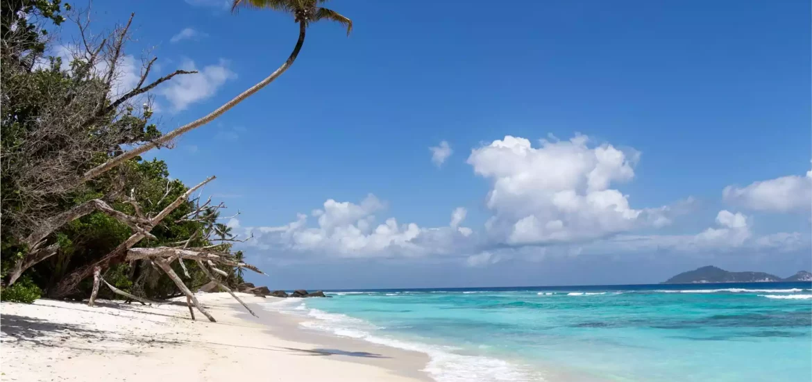 Tropical Beach in Seychelles.