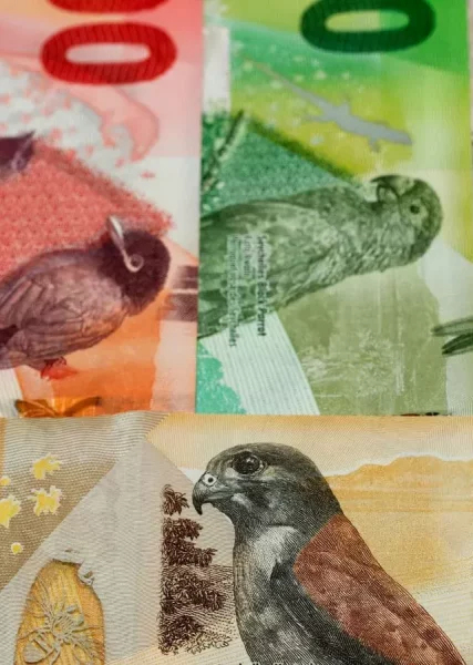 Seychelles currency banknotes, rupees with pictures of various local birds