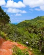 Hiking trail in the UNESCO protected Valle De Mai.